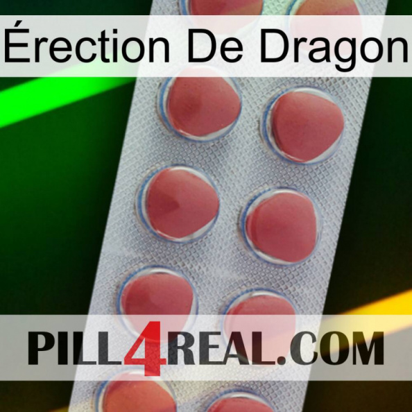 Érection De Dragon 18